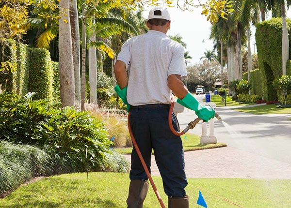 About Russell IL Pest Control